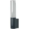 Applique Murale D'Exterieur Ledvance Flare Gris, 1 Lumiere, Changeur De Couleurs