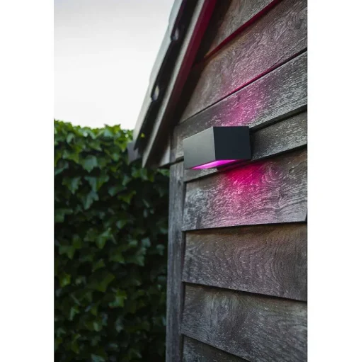 Applique Murale D'Exterieur Lutec Gemini Led Anthracite, 2 Lumieres, Changeur De Couleurs