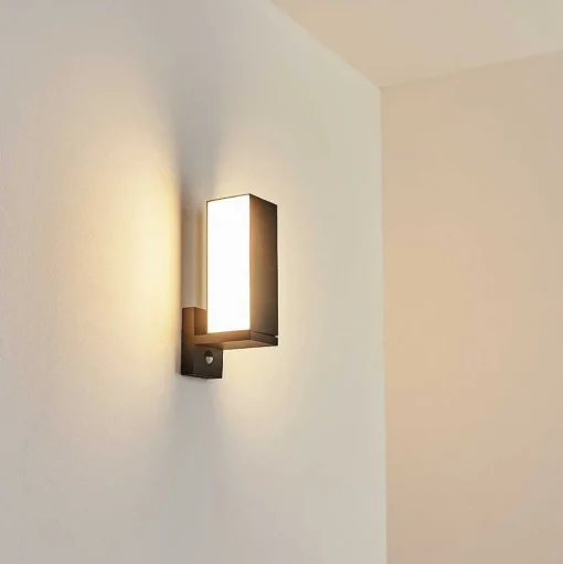 Applique Murale D'Exterieur Swanek Led Anthracite, 1 Lumiere, Detecteur De Mouvement
