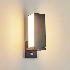 Applique Murale D'Exterieur Swanek Led Anthracite, 1 Lumiere, Detecteur De Mouvement