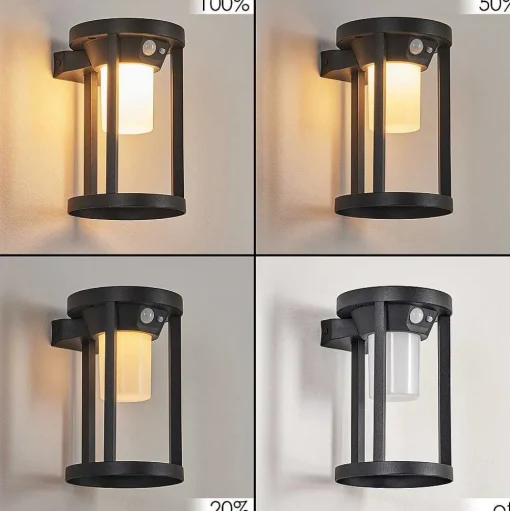 Applique Murale D'Exterieur Lokpano Led Noir, 1 Lumiere, Detecteur De Mouvement, Changeur De Couleurs