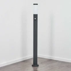 Borne Lumineuse Sessa Anthracite, 1 Lumiere, Detecteur De Mouvement