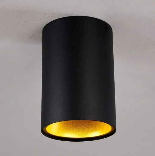 Downlight Grenada Noir, Noir Dore, 1 Lumiere