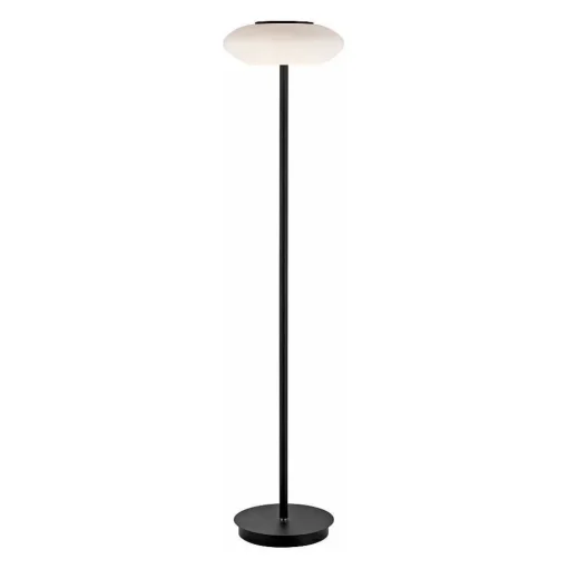 Lampadaire Paul Neuhaus Q-Etienne Led Noir, 1 Lumiere, Telecommandes