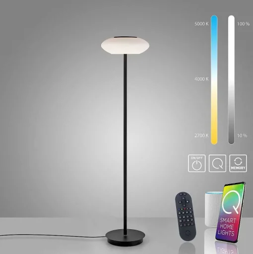 Lampadaire Paul Neuhaus Q-Etienne Led Noir, 1 Lumiere, Telecommandes