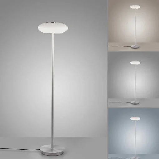 Lampadaire Paul Neuhaus Q-Etienne Led Acier Brosse, 1 Lumiere, Telecommandes