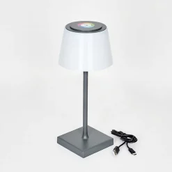 Lampe A Poser Burzaco Led Anthracite, 1 Lumiere, Changeur De Couleurs
