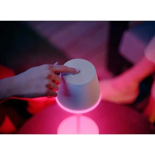 Lampe A Poser Philips Hue Go Led Vert, Blanc, 1 Lumiere, Changeur De Couleurs