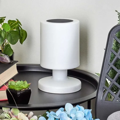 Lampe Solaires Pontaut Led Blanc, 1 Lumiere