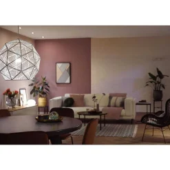 Led E27 9 Watt 2700 Kelvin 800 Lumen Philips Hue White
