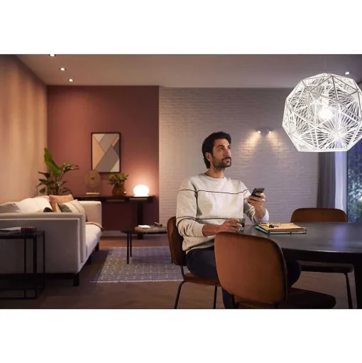 Led E27 9 Watt 2700 Kelvin 800 Lumen Philips Hue White