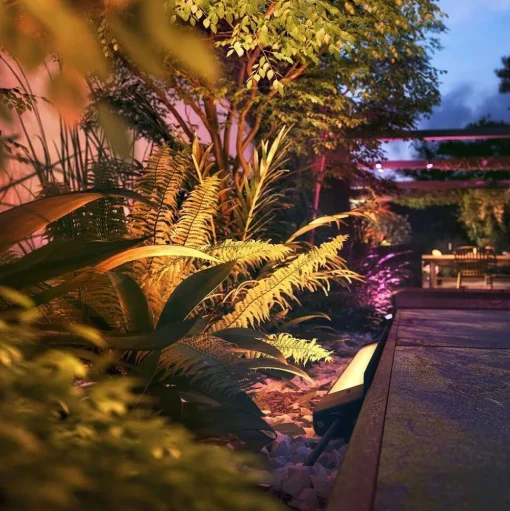 Philips Hue White And Color Ambiance Amarant Led Noir, 1 Lumiere, Changeur De Couleurs