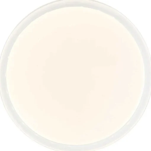 Plafonnier Brilliant Leanna Led Blanc, 1 Lumiere, Telecommandes, Changeur De Couleurs