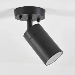 Plafonnier Exterieur Bessiebelle Noir, Blanc, 1 Lumiere
