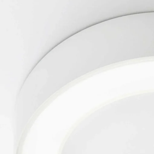 Plafonnier Exterieur Brillliant Whittaker Led Blanc, 1 Lumiere
