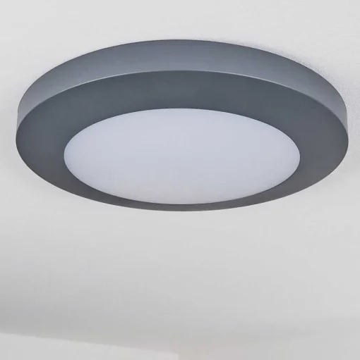 Plafonnier Exterieur Durivier Led Anthracite, 1 Lumiere
