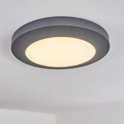 Plafonnier Exterieur Durivier Led Anthracite, 1 Lumiere