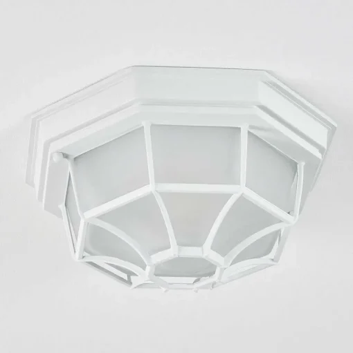 Plafonnier Exterieur Ibacache Blanc, 1 Lumiere