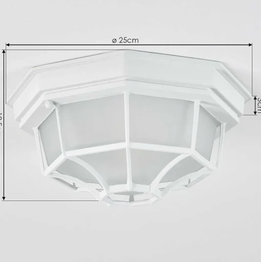 Plafonnier Exterieur Ibacache Blanc, 1 Lumiere