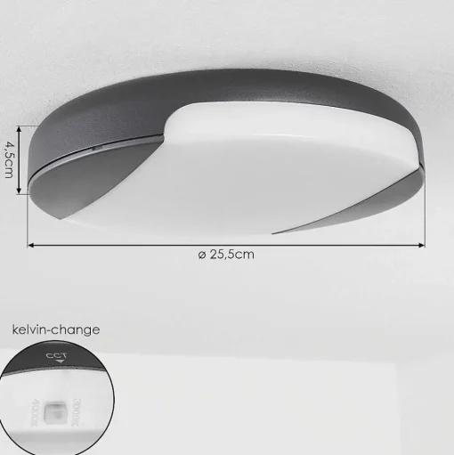 Plafonnier Exterieur Joserand Led Anthracite, 1 Lumiere