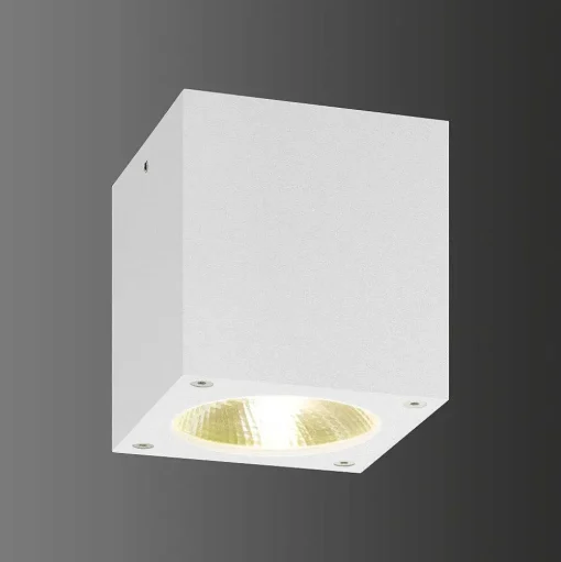 Plafonnier Exterieur Lcd 5029 Led Blanc, 1 Lumiere