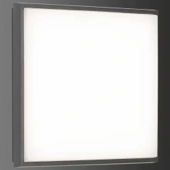 Plafonnier Exterieur Lcd Typ 5060 Led Noir, 1 Lumiere