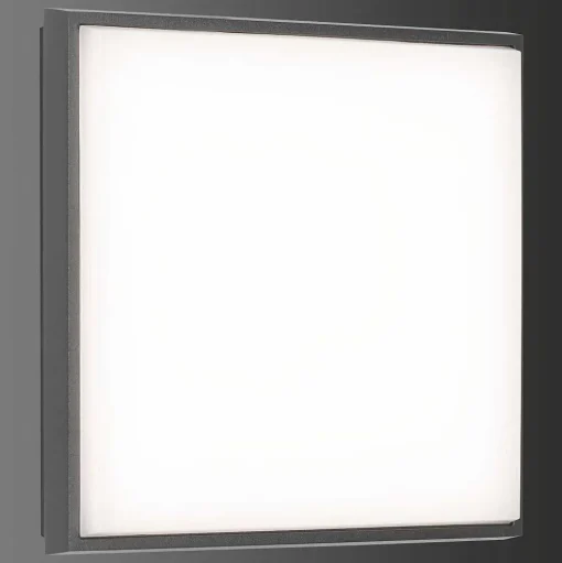 Plafonnier Exterieur Lcd Typ 5060 Led Noir, 1 Lumiere