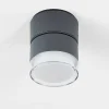 Plafonnier Exterieur Papagayos Led Anthracite, Blanc, 1 Lumiere, Changeur De Couleurs