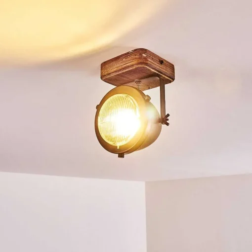Plafonnier Glostrup Brun, Acier Inoxydable, 1 Lumiere