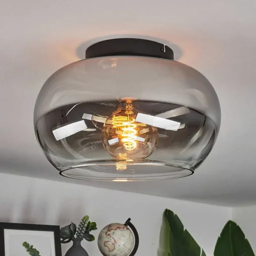 Plafonnier Molloy Clair, Fume, 1 Lumiere