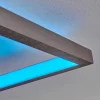 Plafonnier Momahaki Led Nickel Mat, 1 Lumiere, Telecommandes