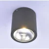 Plafonnier Paul Neuhaus Georg Led Anthracite, 1 Lumiere