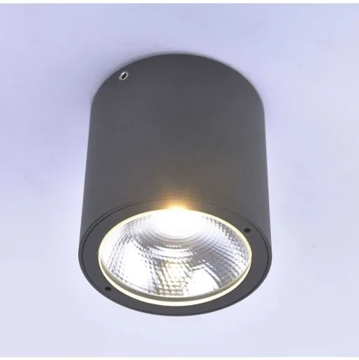 Plafonnier Paul Neuhaus Georg Led Anthracite, 1 Lumiere