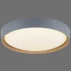 Plafonnier Paul Neuhaus Q-Emilia Led Gris, Couleur Bois, 1 Lumiere, Telecommandes