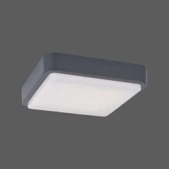 Plafonnier Paul Neuhaus Q-Lenny Led Anthracite, 1 Lumiere, Telecommandes, Changeur De Couleurs