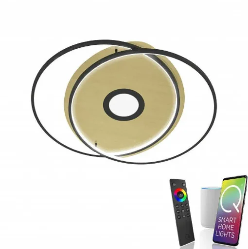 Plafonnier Paul Neuhaus Q-Amira Led Noir, 1 Lumiere, Telecommandes