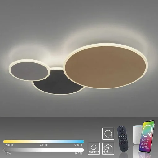 Plafonnier Paul Neuhaus Q-Piato Led Blanc, 1 Lumiere, Telecommandes