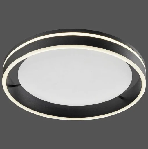 Plafonnier Paul Neuhaus Q-Vito Led Anthracite, 1 Lumiere, Telecommandes