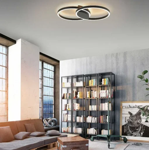 Plafonnier Paul Neuhaus Q-Marko Led Noir, 1 Lumiere, Telecommandes, Changeur De Couleurs