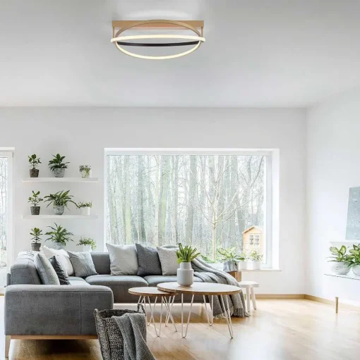 Plafonnier Paul Neuhaus Q-Beluga Led Or, 1 Lumiere, Telecommandes