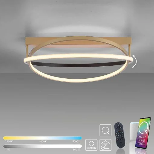 Plafonnier Paul Neuhaus Q-Beluga Led Or, 1 Lumiere, Telecommandes
