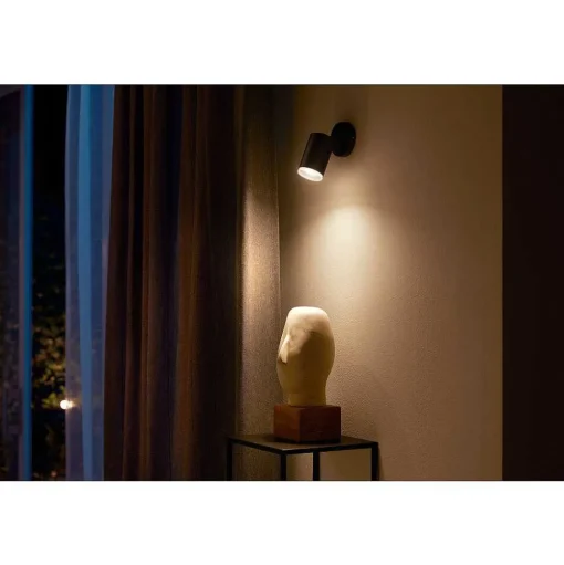 Plafonnier Philips Hue Fugato Led Noir, 1 Lumiere, Changeur De Couleurs