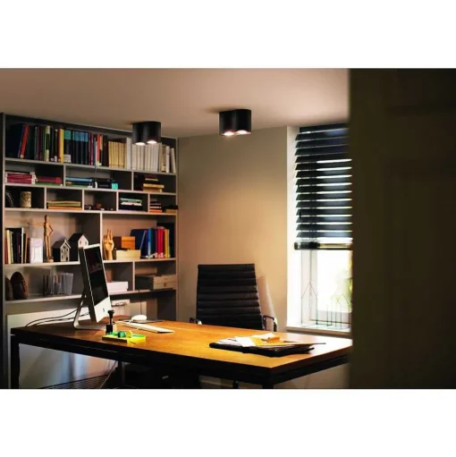 Plafonnier Philips Hue Pillar Led Noir, 2 Lumieres, Telecommandes
