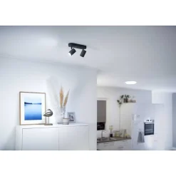 Plafonnier Philips Wiz Imageo Led Noir, 2 Lumieres, Changeur De Couleurs