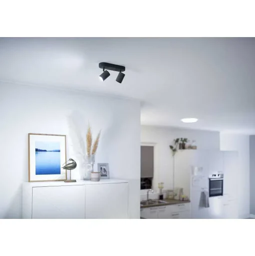 Plafonnier Philips Wiz Imageo Led Noir, 2 Lumieres