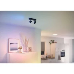 Plafonnier Philips Wiz Imageo Led Noir, 2 Lumieres, Changeur De Couleurs