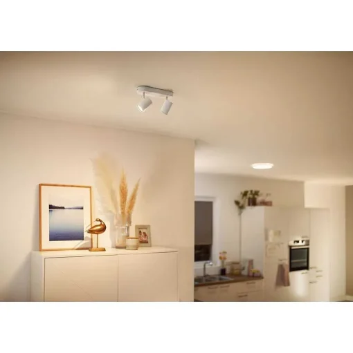 Plafonnier Philips Wiz Imageo Led Blanc, 2 Lumieres, Changeur De Couleurs