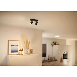 Plafonnier Philips Wiz Imageo Led Noir, 2 Lumieres, Changeur De Couleurs