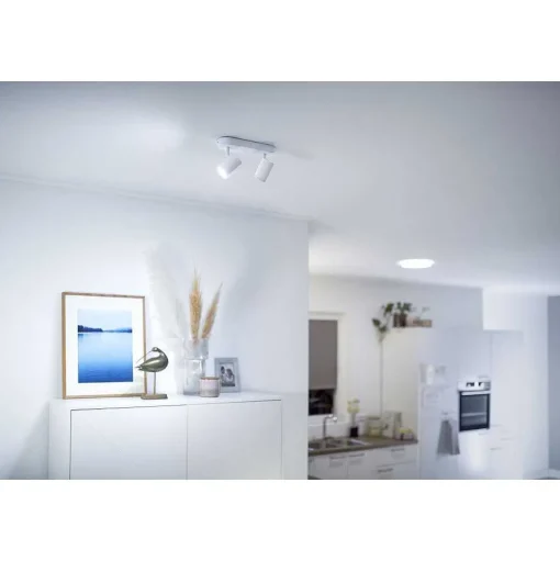 Plafonnier Philips Wiz Imageo Led Blanc, 2 Lumieres