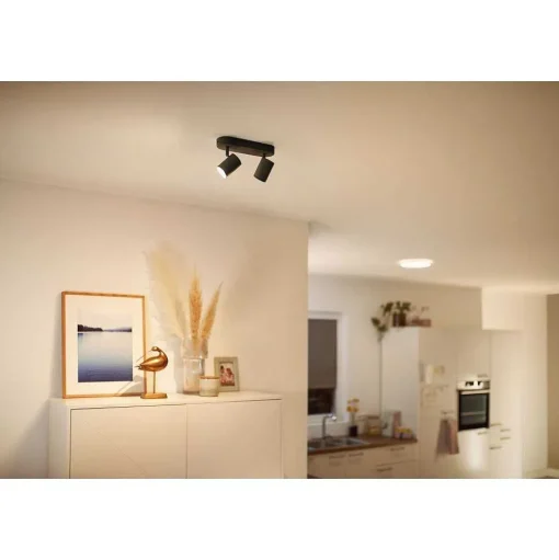 Plafonnier Philips Wiz Imageo Led Noir, 2 Lumieres